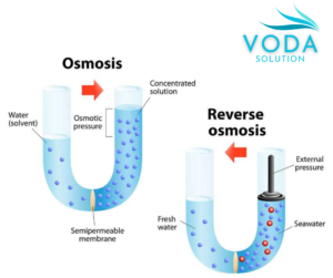 REVERSE OSMOSIS (RO)